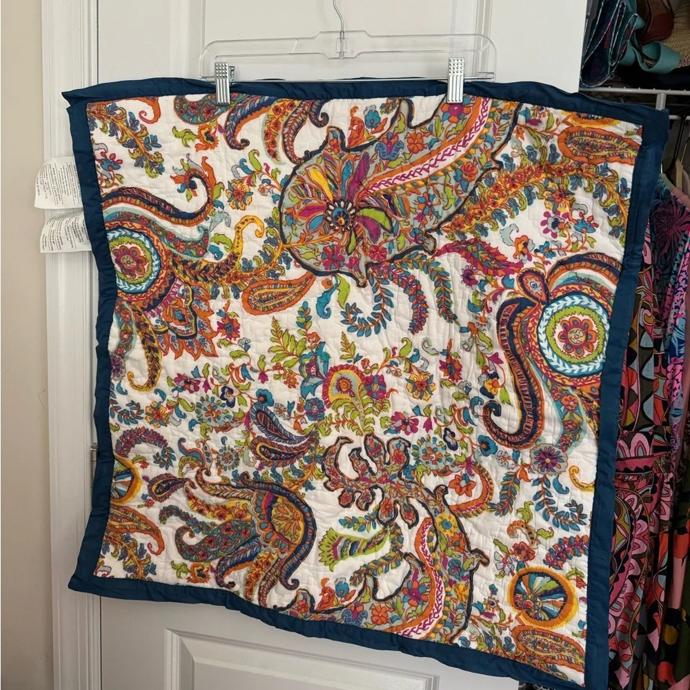 Pottery Barn euro sham New